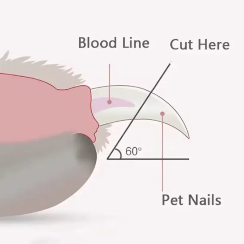 Nail Clippers for Cats And Dogs