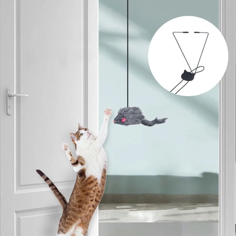 Cat Swing
