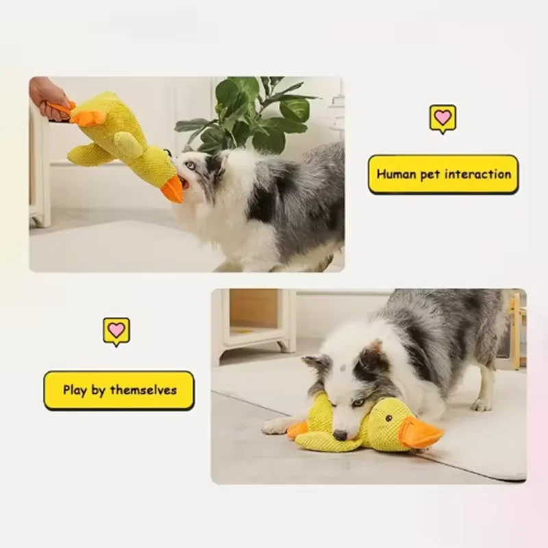 Dog Duck Toy