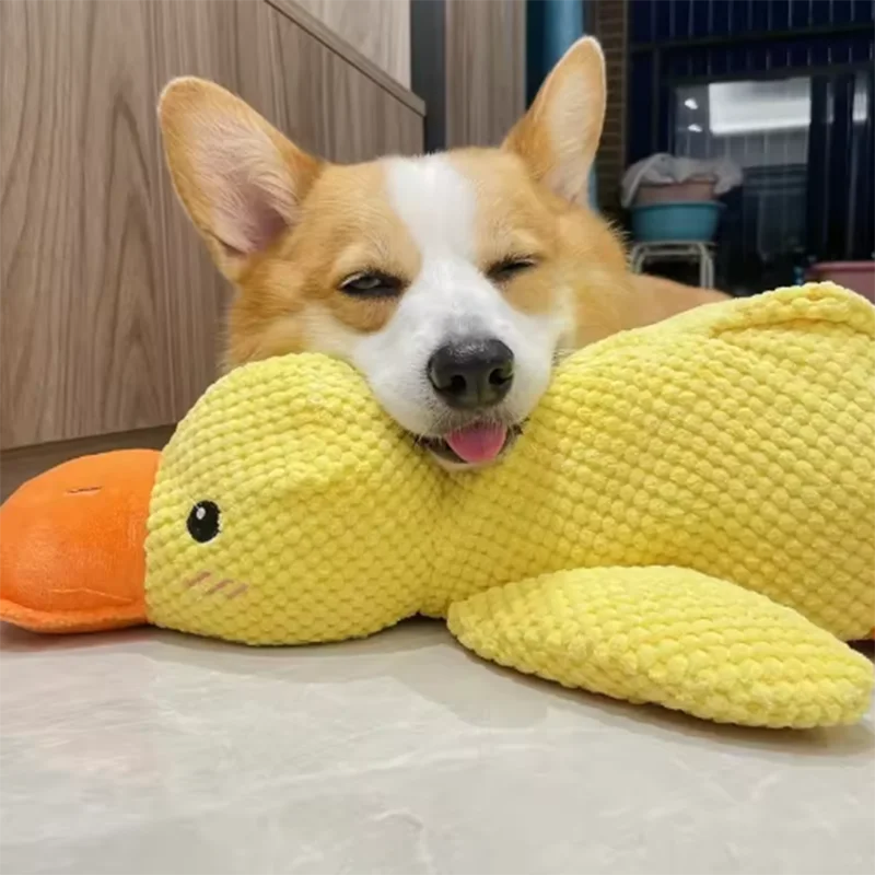 Dog Duck Toy